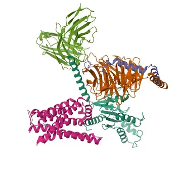 Anticorpo policlonale anti-GNAO1 per WB, IF-P, ELISA - P09471