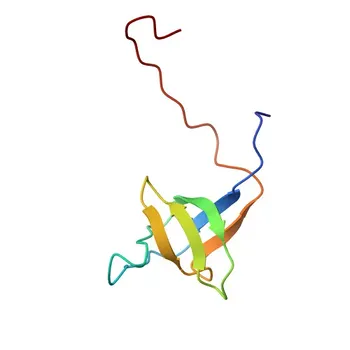 Anti-NOSTRIN Rabbit Polyclonal Antibody for WB, IF/ICC, ELISA - Q8IVI9