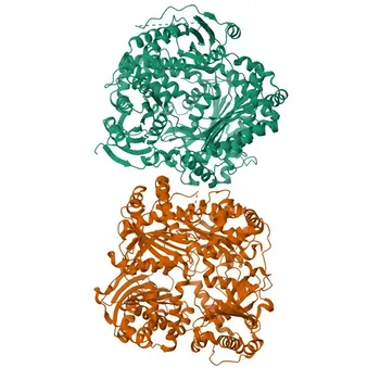 NPPA Kaninchen pAb - P01160
