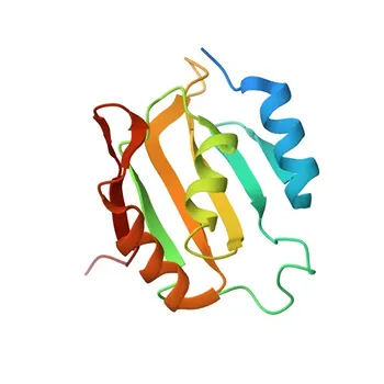 Anti-HNRNPR Rabbit Polyclonal Antibody [KO Validated] for WB, IF/ICC, ELISA - O43390