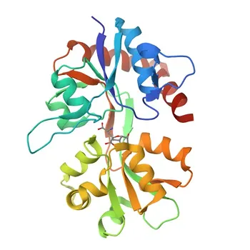 Anti-GRIK2 Polyclonal Antibody for WB, ELISA - Q13002