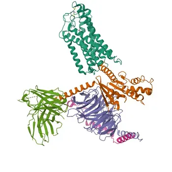 HCAR3 Rabbit Polyclonal Antibody for WB - P49019