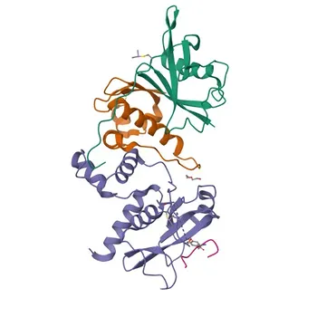 Anti-SOCS2 Rabbit Polyclonal Antibody for WB, IF/ICC, ELISA - O14508