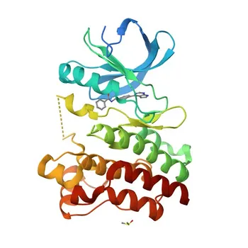 Anti-BTK Rabbit Monoclonal Antibody for WB, IF-P, IHC-P, ELISA - Q06187