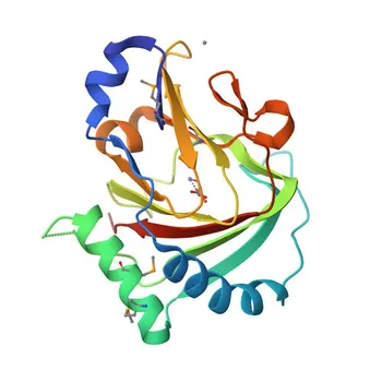 Anti-ALKBH7 Kaninchen pAb für WB, ELISA - Q9BT30