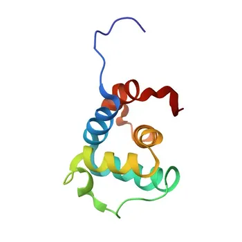 Anti-NLRP10 Rabbit Polyclonal Antibody - Q86W26