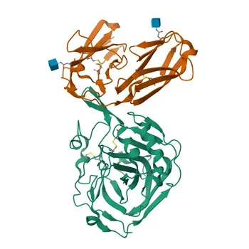 Anti-CNTN1 Rabbit Polyclonal Antibody for WB, IHC-P, ELISA - Q12860