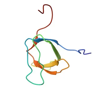Anti-PRMT2 Rabbit Polyclonal Antibody for WB, ELISA - P55345