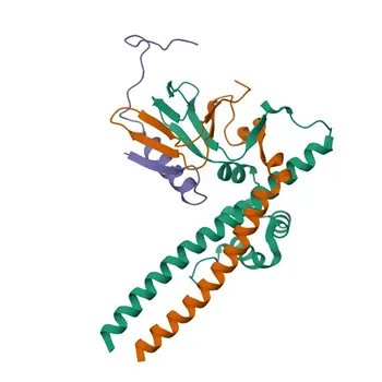 E2F1 Rabbit Polyclonal Antibody for WB and ELISA - Q01094