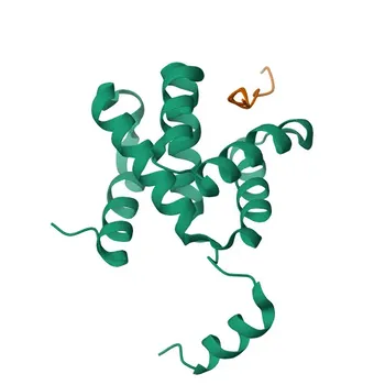 Anti-RBBP6 Polyclonal Antibody for WB, ELISA - Q7Z6E9