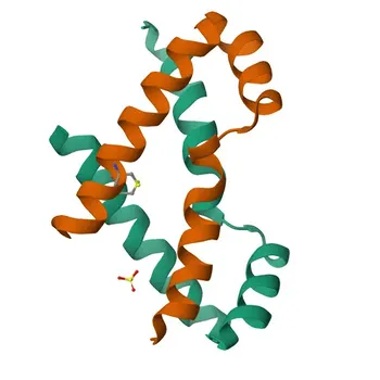 Anticorpo policlonale coniglio anti-ZHX2 per WB, IHC-P, ELISA - Q9Y6X8