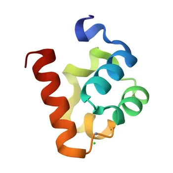 Anti-SHANK2 Polyclonal Antibody for WB, IF/ICC, ELISA - Q9UPX8