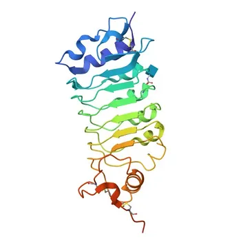 OsSERK2 Rabbit Polyclonal Antibody for WB and ELISA - Q7XV05