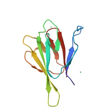 Anti-KIF1C Polyclonal Antibody for WB, ELISA - O43896