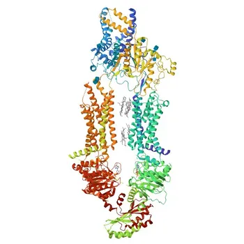 Anti-ABCA7 Polyclonal Antibody for WB, IF/ICC, ELISA - Q8IZY2