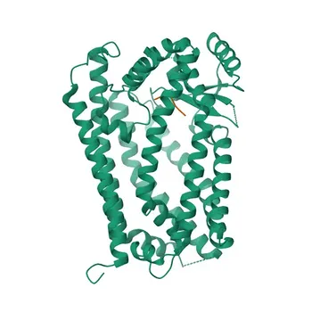 Anti-ZMPSTE24 Rabbit Polyclonal Antibody for WB, IHC-P, ELISA - O75844