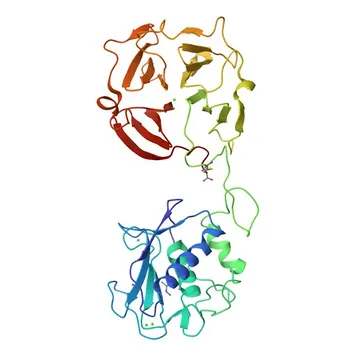Anti-MMP12 Rabbit Polyclonal Antibody for WB, IF/ICC, ELISA - P39900