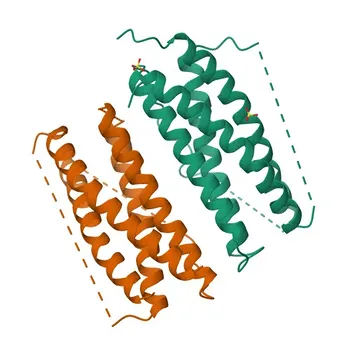 Anti-CNTF Rabbit Polyclonal Antibody for WB, IF/ICC, IF-P, ELISA - P26441