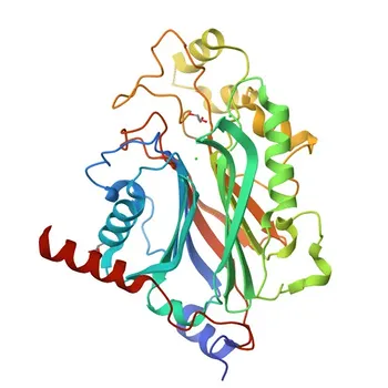 Anticorpo Policlonal Anti-INPP5E para WB, IF/ICC, ELISA - Q9NRR6