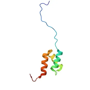 Anti-CUEDC1 Rabbit Polyclonal Antibody for WB and ELISA - Q9NWM3
