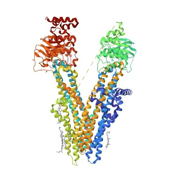 Anti-MRP4/ABCC4 Polyclonal Antibody for WB, IHC-P, IF/ICC, ELISA - O15439