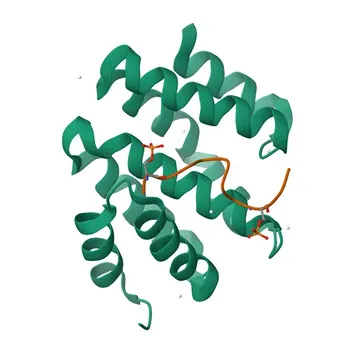 Anti-RPRD1A Polyclonal Antibody for WB, ELISA - Q96P16