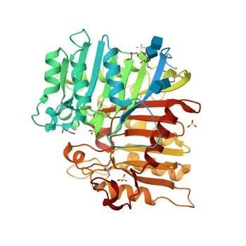 Anticorpo Policlonale Anti-PLD3 per WB, IF/ICC, ELISA - Q8IV08