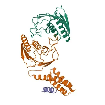 Anti-MITD1 Rabbit Polyclonal Antibody for WB, IHC-P, ELISA - Q8WV92