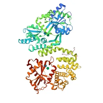 Anti-TBRG4 Polyclonal Antibody for WB - Q969Z0