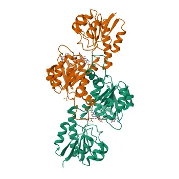 Anti-GRHPR-Polyklonaler Antikörper für WB, IF/ICC, ELISA- Q9UBQ7