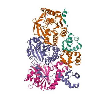 Rad51D Rabbit mAb for WB and ELISA - O75771