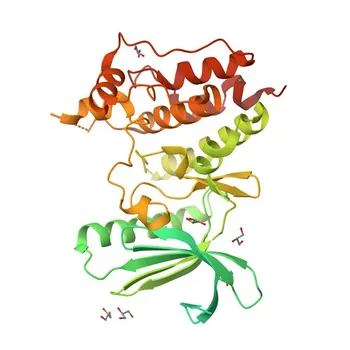 Anti-TTK polyklonaler Antikörper für WB, IF/ICC, ELISA – P33981