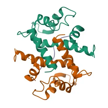 AHNAK Rabbit pAb for IHC-P, IF/ICC, ELISA - Q09666
