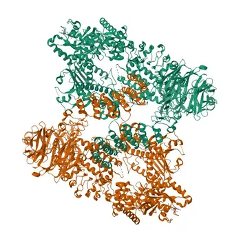 Anti-LRRK1 Polyclonal Antibody for WB, ELISA - Q38SD2