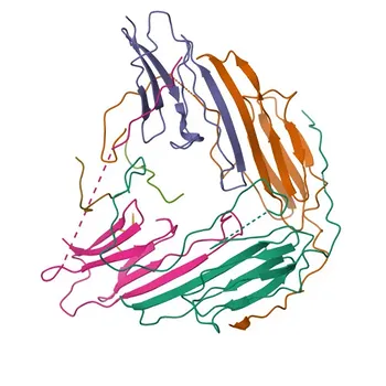 Anti-HSPB2 Rabbit Polyclonal Antibody for WB, IF/ICC, ELISA - Q16082