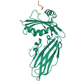 Anti-EPN1 (Epsin-1) Rabbit Polyclonal Antibody for WB, IHC-P, ELISA - Q9Y6I3