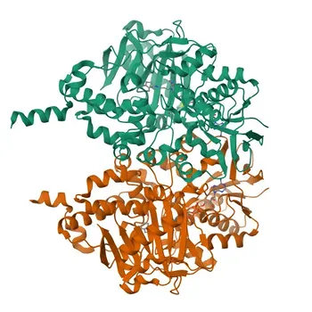 Anti-MAOB-Polyklonale Antikörper für WB, IHC-P, IF/ICC, ELISA - P27338