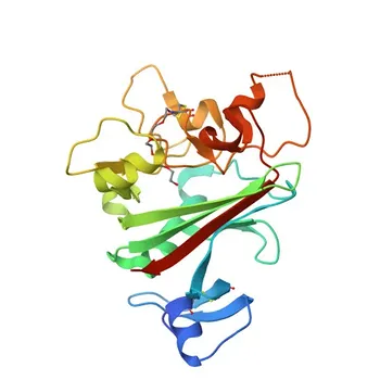 Anti-ANGPTL4 Polyclonal Antibody for WB, IHC-P, IF/ICC, ELISA - Q9BY76