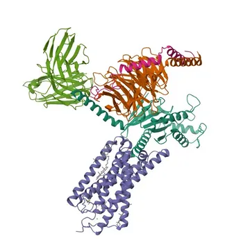 Anti-GPR35 Rabbit Polyclonal Antibody for WB, ELISA - Q9HC97