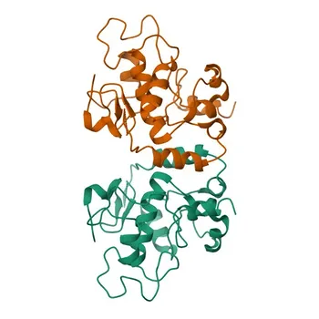 Anti-PML Polyclonal Antibody for WB, IHC-P, ELISA - P29590