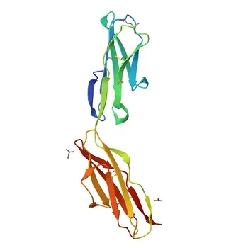 مضاد أحادي النسيلة ضد Tyro3 لـ WB و ELISA - Q06418