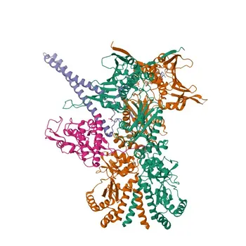 Anti-Hsp90β Polyclonal Antibody for WB, IHC-P, IF/ICC, ELISA - P08238