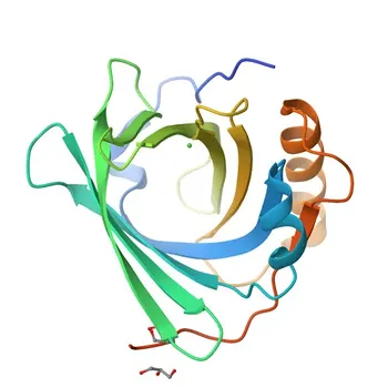Anti-AMBP Rabbit Polyclonal Antibody for WB, ELISA - P02760