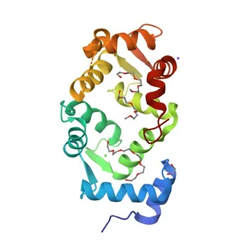 NCS1 Rabbit Monoclonal Antibody for WB and ELISA - P62166