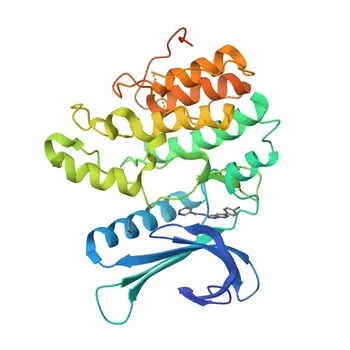 Anti-AAK1 Rabbit Polyclonal Antibody for WB, ELISA - Q2M2I8