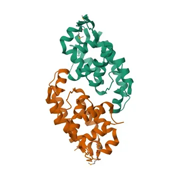Anti-RUSC1 Rabbit Polyclonal Antibody for WB, IF-P, ELISA - Q9BVN2