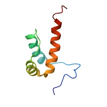 Anti-PKNOX1 Rabbit Polyclonal Antibody for WB, ELISA - P55347