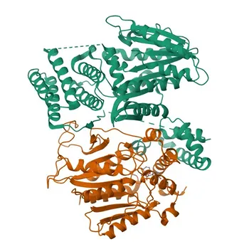 Anti-GID1A Rabbit Polyclonal Antibody for WB - Q9MAA7