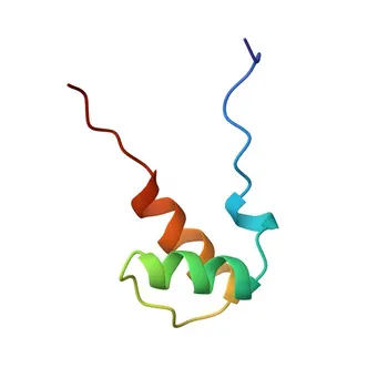 Anti-HNRNPUL1 Rabbit Polyclonal Antibody for WB, ELISA - Q9BUJ2