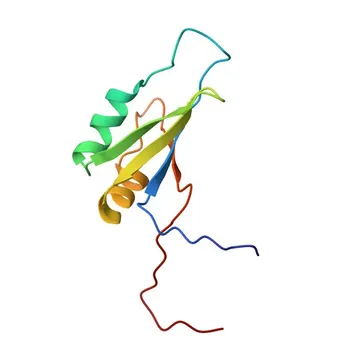 DNAJC17 Rabbit pAb - Q9NVM6